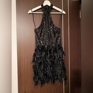 Elegant Black Feathered Dress